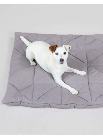 Paikka Hunde-Schnüffelteppich in Grau
