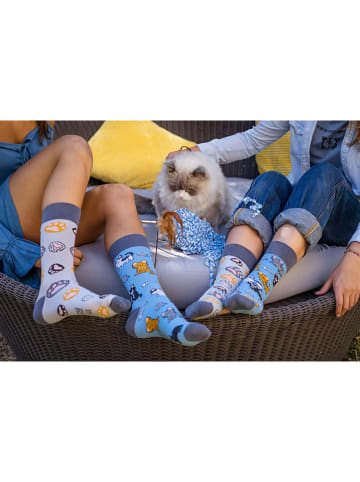 Spox Sox 2er-Set: Socken in Blau/ Hellbraun