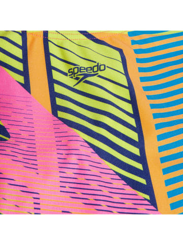Speedo Badeanzug "Eco+ Dig Placem" in Bunt