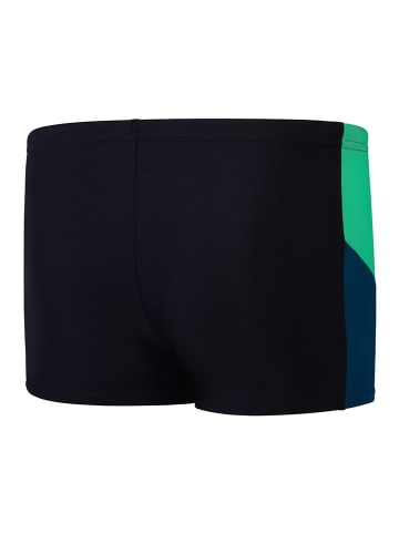 Speedo Badehose "Eco Dive" in Schwarz/ Grün/ Dunkelblau