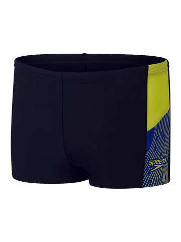 Speedo Badehose "Eco Dive" in Dunkelblau/ Blau/ Grün