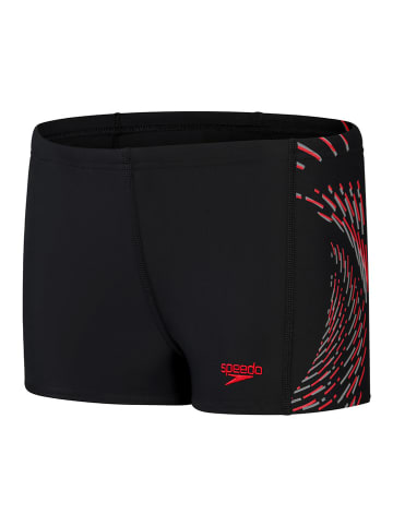 Speedo Badehose "Eco Plastisol" in Schwarz/ Rot/ Grau