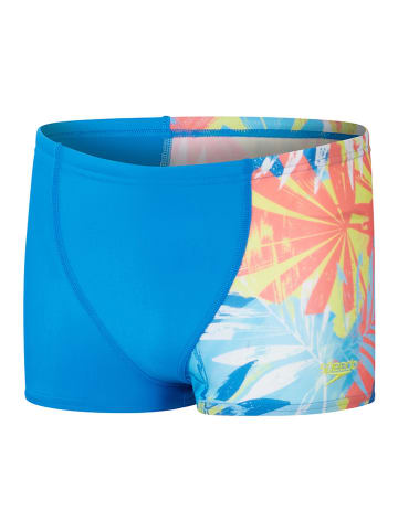 Speedo Kąpielówki "Eco Dig Allover" ze wzorem
