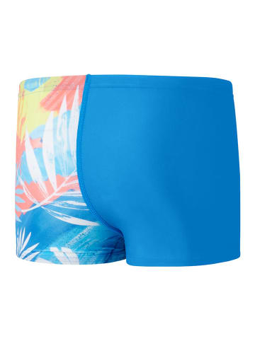 Speedo Badehose "Eco Dig Allover" in Bunt