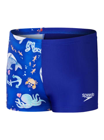 Speedo Badehose "Eco Dig Allover" in Blau