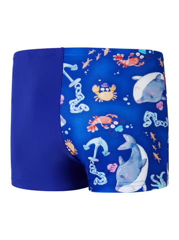 Speedo Badehose "Eco Dig Allover" in Blau