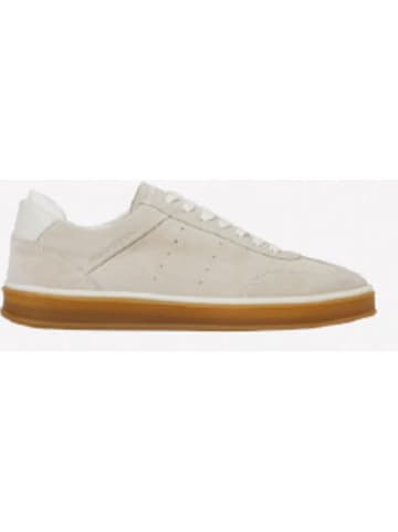 Marc O'Polo Shoes Leder-Sneakers  in Grau