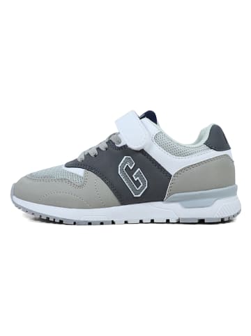 GAP Sneakers "Columbus" in Grau/ Weiß