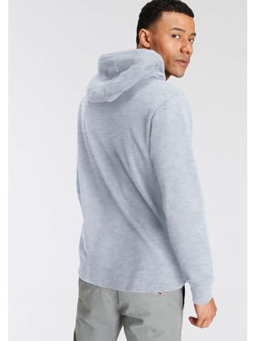 Vans Hoodie grijs