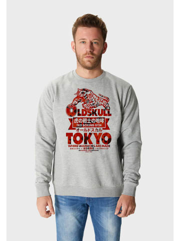 OLDSKULL Bluza w kolorze szarym