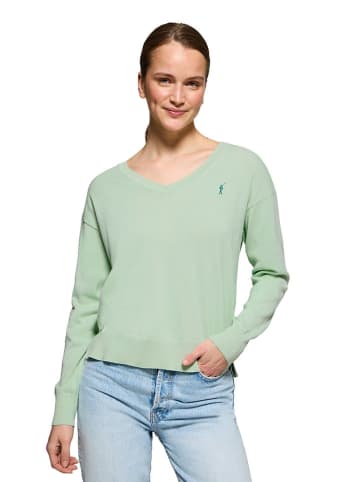 Polo Club Pullover in Hellgrün