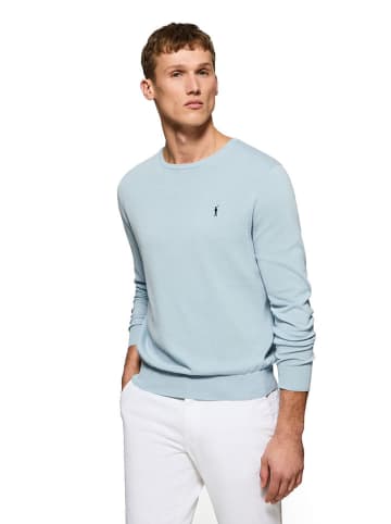 Polo Club Pullover in Hellblau