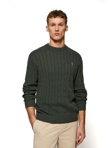 Polo Club Pullover in Dunkelgrün