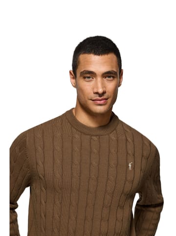 Polo Club Pullover in Braun