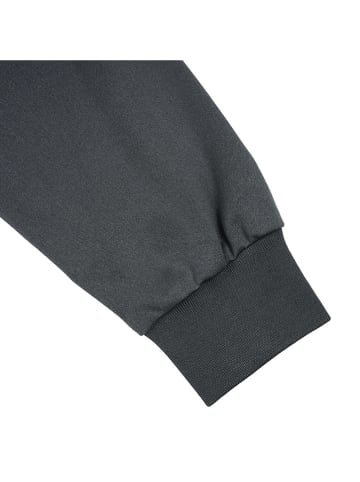 Icepeak Funktionsjacke "Merryville" in Grau