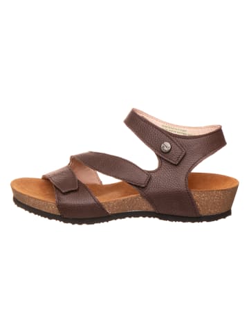 Think! Leder-Sandalen in Braun