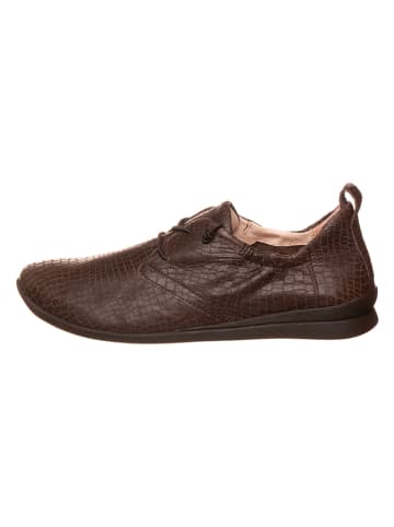 Think! Leder-Sneakers in Braun