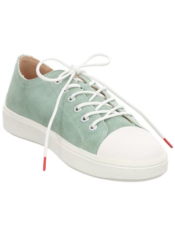 Think! Leder-Sneakers in Grün