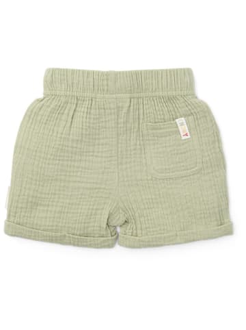 Little Dutch Shorts in Grün
