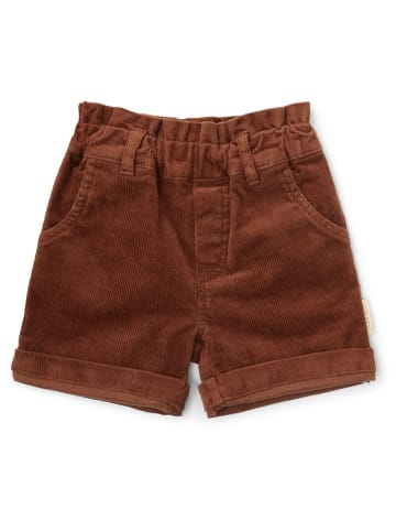 Little Dutch Short bruin