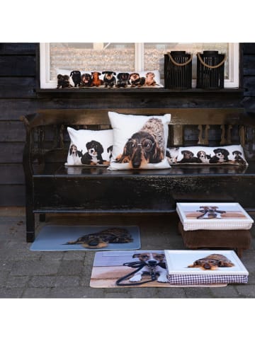 Mars & More Tochtstrip "Dachshunds" wit/bruin - (L)90 x (B)20 cm