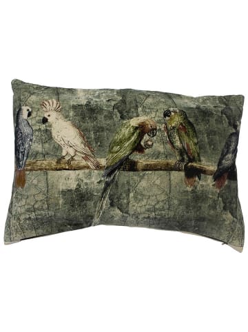 Mars & More Kussen "Parakeets and cockatoos" groen - (L)40 x (B)60 cm