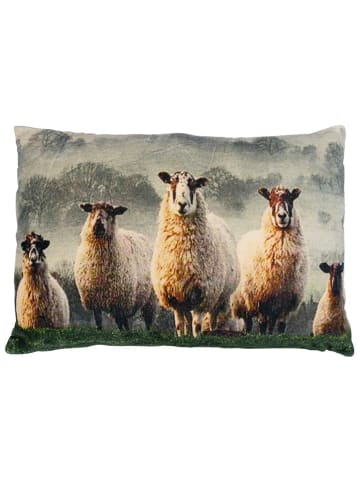 Mars & More Poduszka "Sheep in grass" w kolorze beżowym - 40 x 60 cm