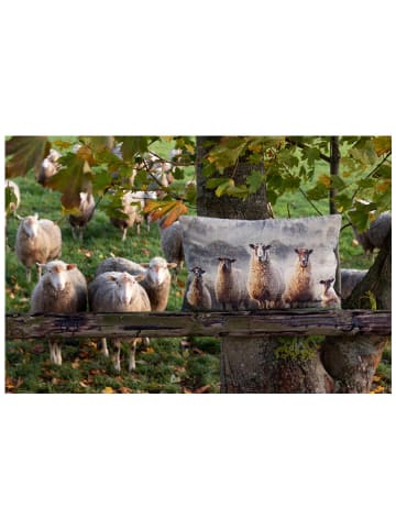 Mars & More Kussen "Sheep in grass" beige - (L)40 x (B)60 cm
