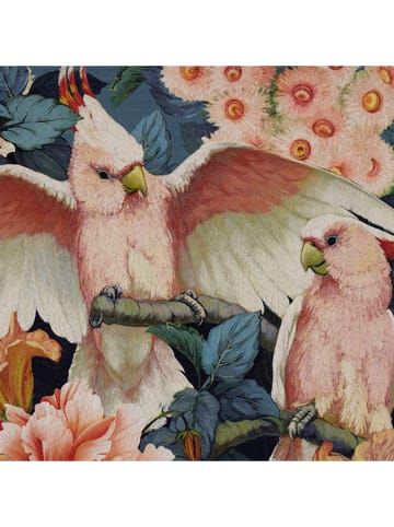 Mars & More Wycieraczka "Cockatoo" w kolorze niebiesko-jasnoróżowym - 50 x 75 cm