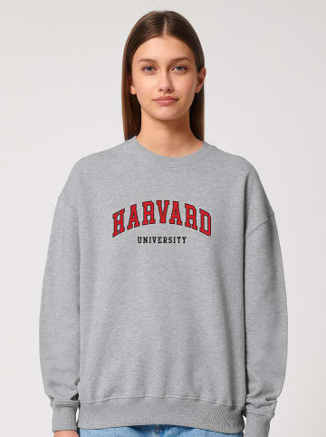 American Universities Sweatshirt "Harvard University" grijs