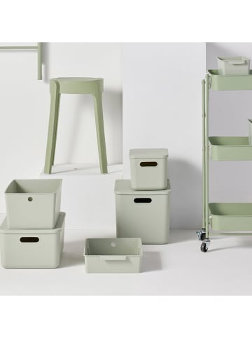 UTILITY Aufbewahrungsbox "H16" in Grün - (B)26 x (H)16 x (T)18 cm