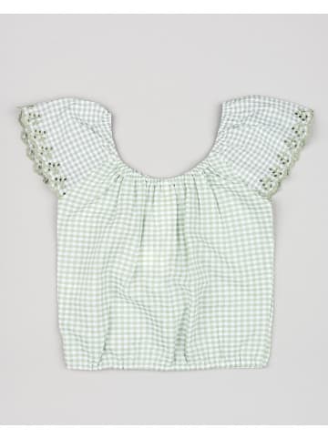 LOSAN Top groen