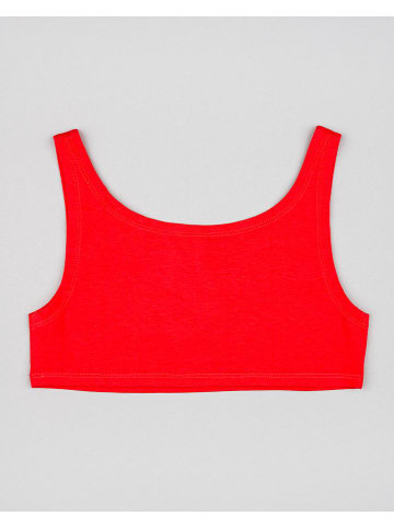 LOSAN Top rood