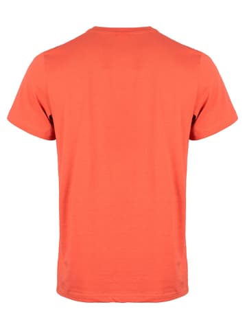 Roadsign Shirt in Orange