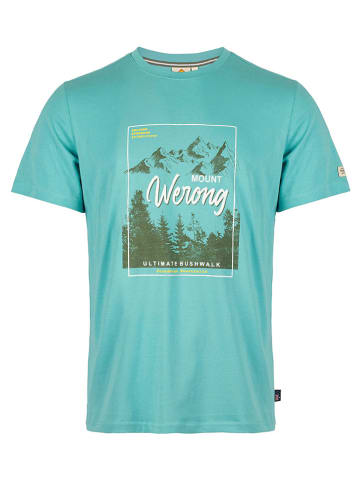 Roadsign Shirt turquoise