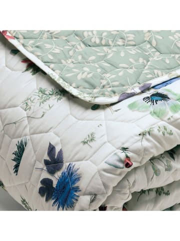 CXL by Christian Lacroix Tagesdecke in Creme/ Mint