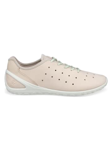 Ecco Leren sneakers "Biom Everyday" beige