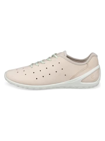 Ecco Skórzane sneakersy "Biom Everyday" w kolorze beżowym