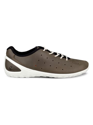Ecco Leder-Sneakers "Biom Everyday" in Braun