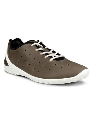 Ecco Leder-Sneakers "Biom Everyday" in Braun