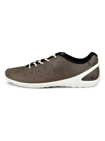Ecco Leder-Sneakers "Biom Everyday" in Braun