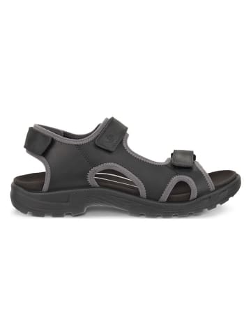 Ecco Leder-Sadalen "Onroads" in Schwarz