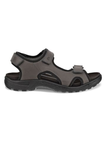 Ecco Leren sandalen "Onroads" grijs