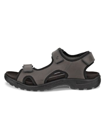 Ecco Leren sandalen "Onroads" grijs