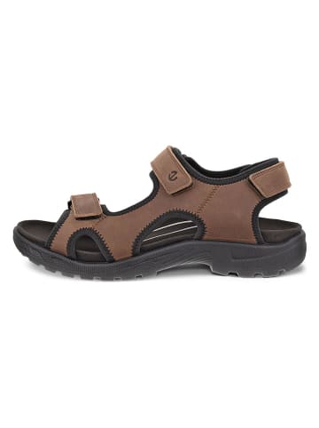 Ecco Leder-Sandalen "Onroads" in Braun
