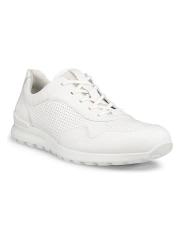 Ecco Leren sneakers "CS25" wit