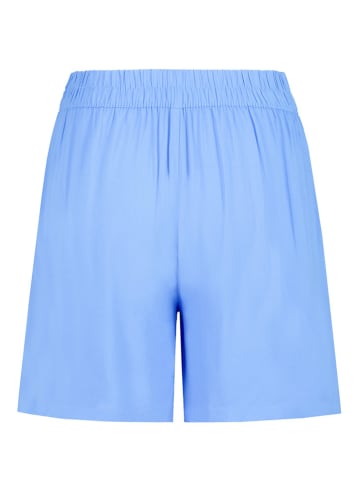 Sublevel Shorts in Hellblau