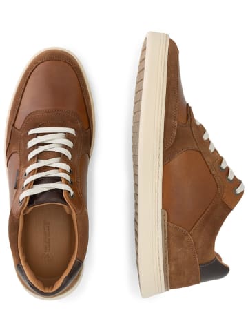 TRAVELIN' Leren sneakers "Burnham" lichtbruin