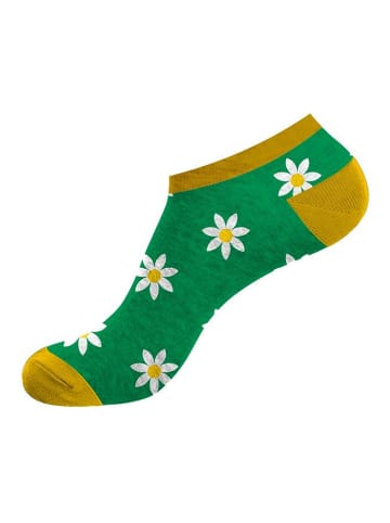 Lucky Socks 8er-Set: Socken in Grün