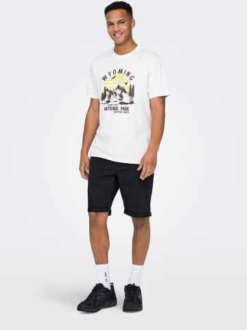 ONLY & SONS Shorts "Peter" in Schwarz